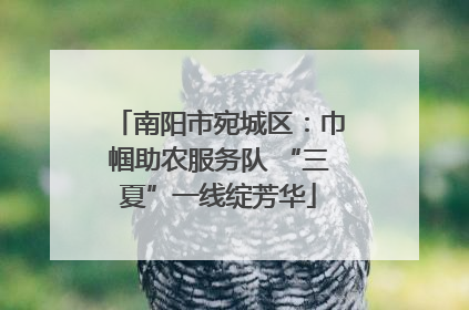 南阳市宛城区：巾帼助农服务队 “三夏”一线绽芳华