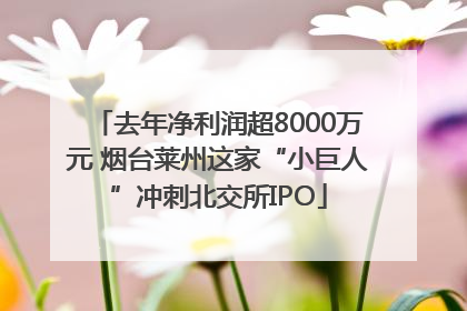 去年净利润超8000万元 烟台莱州这家“小巨人”冲刺北交所IPO