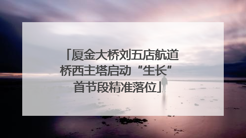厦金大桥刘五店航道桥西主塔启动“生长” 首节段精准落位