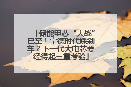 储能电芯“大战”已至！宁德时代踩刹车？下一代大电芯要经得起三重考验