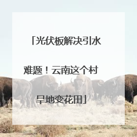 光伏板解决引水难题！云南这个村旱地变花田
