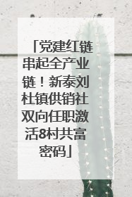 党建红链串起全产业链！新泰刘杜镇供销社双向任职激活8村共富密码