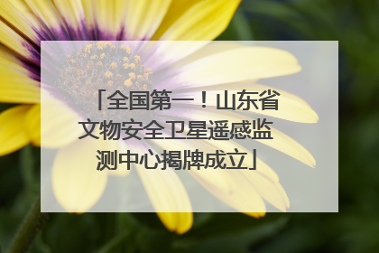 全国第一！山东省文物安全卫星遥感监测中心揭牌成立