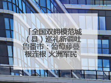 全国双拥模范城（县）巡礼新疆吐鲁番市：葡萄藤蔓根连根 火洲军民心连心