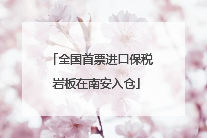 全国首票进口保税岩板在南安入仓