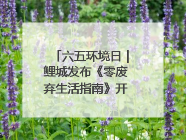 六五环境日｜鲤城发布《零废弃生活指南》开启露营新玩法