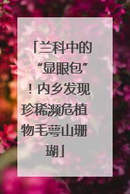 兰科中的“显眼包”！内乡发现珍稀濒危植物毛萼山珊瑚