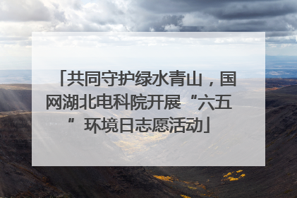 共同守护绿水青山，国网湖北电科院开展“六五”环境日志愿活动