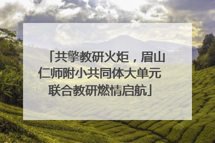 共擎教研火炬，眉山仁师附小共同体大单元联合教研燃情启航