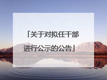 关于对拟任干部进行公示的公告