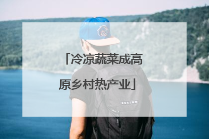 冷凉蔬菜成高原乡村热产业