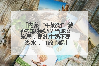 内蒙“牛奶湖”游客排队接奶？当地文旅局：是纯牛奶不是湖水，可放心喝