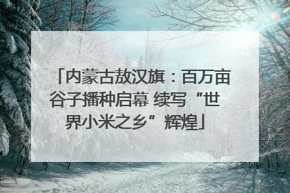 内蒙古敖汉旗：百万亩谷子播种启幕 续写“世界小米之乡”辉煌