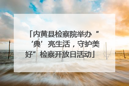 内黄县检察院举办“‘典’亮生活，守护美好”检察开放日活动