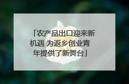 农产品出口迎来新机遇 为返乡创业青年提供了新舞台