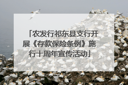 农发行祁东县支行开展《存款保险条例》施行十周年宣传活动