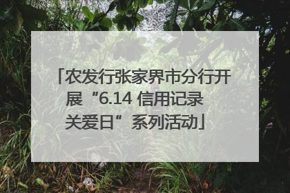 农发行张家界市分行开展“6.14 信用记录关爱日”系列活动