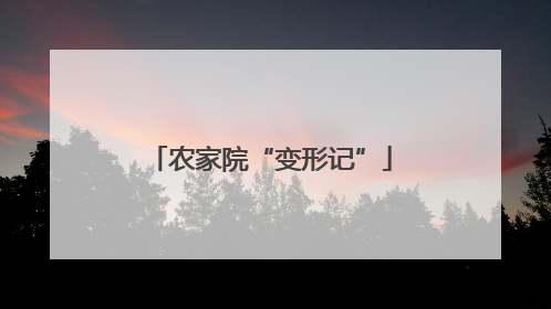 农家院“变形记”