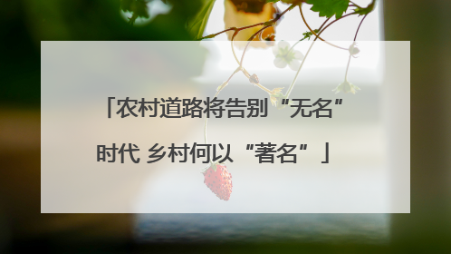 农村道路将告别“无名”时代 乡村何以“著名”