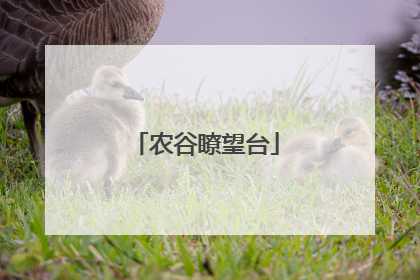 农谷瞭望台