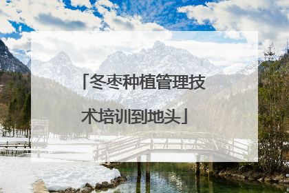 冬枣种植管理技术培训到地头