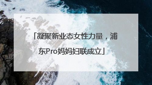 凝聚新业态女性力量，浦东Pro妈妈妇联成立
