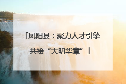 凤阳县：聚力人才引擎 共绘“大明华章”
