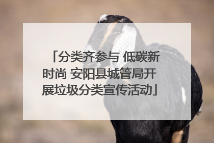 分类齐参与 低碳新时尚 安阳县城管局开展垃圾分类宣传活动