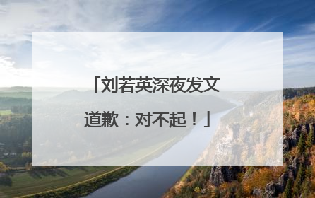 刘若英深夜发文道歉：对不起！