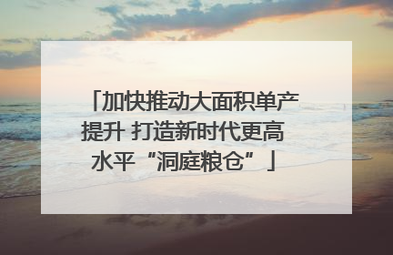 加快推动大面积单产提升 打造新时代更高水平“洞庭粮仓”