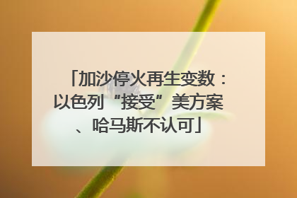 加沙停火再生变数：以色列“接受”美方案、哈马斯不认可