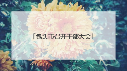包头市召开干部大会