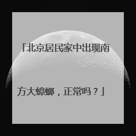 北京居民家中出现南方大蟑螂，正常吗？