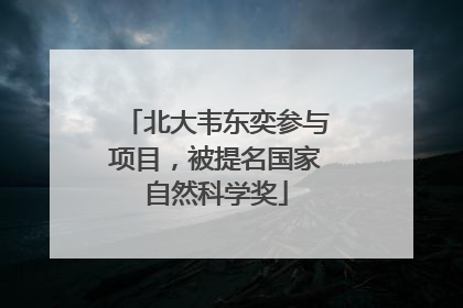 北大韦东奕参与项目，被提名国家自然科学奖