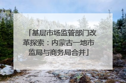 基层市场监管部门改革探索：内蒙古一地市监局与商务局合并