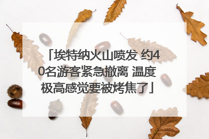 埃特纳火山喷发 约40名游客紧急撤离 温度极高感觉要被烤焦了