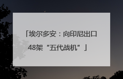 埃尔多安：向印尼出口48架“五代战机”