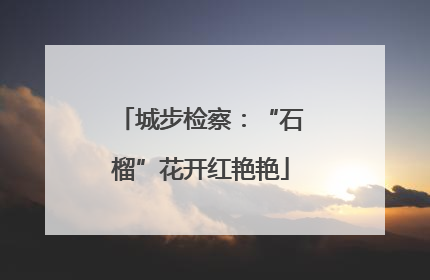 城步检察：“石榴”花开红艳艳