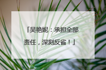 吴艳妮：承担全部责任，深刻反省！