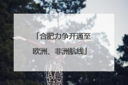 合肥力争开通至欧洲、非洲航线