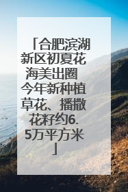 合肥滨湖新区初夏花海美出圈 今年新种植草花、播撒花籽约6.5万平方米