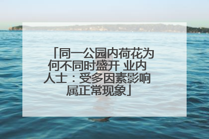 同一公园内荷花为何不同时盛开 业内人士：受多因素影响 属正常现象