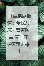 咸嘉湖街道：全民共筑“青春防毒墙” 守护无毒未来