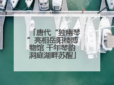 唐代“独幽琴”亮相岳阳楼博物馆 千年琴韵洞庭湖畔苏醒