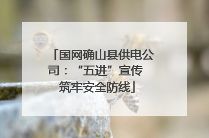 国网确山县供电公司：“五进”宣传 筑牢安全防线