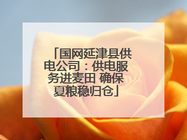 国网延津县供电公司：供电服务进麦田 确保夏粮稳归仓