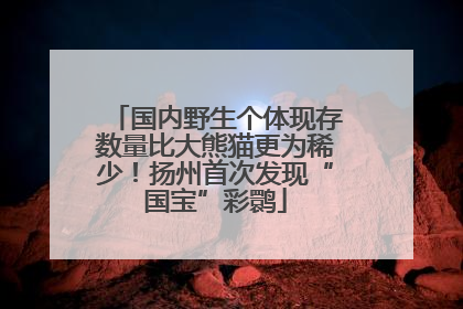 国内野生个体现存数量比大熊猫更为稀少！扬州首次发现“国宝”彩鹮