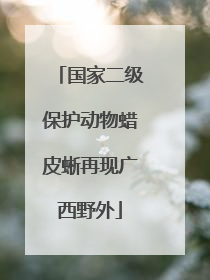 国家二级保护动物蜡皮蜥再现广西野外
