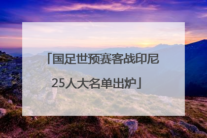 国足世预赛客战印尼25人大名单出炉