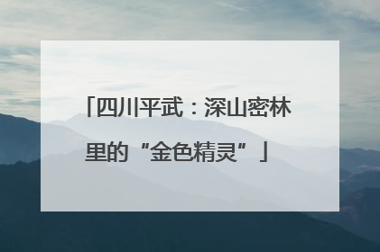 四川平武：深山密林里的“金色精灵”